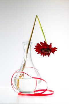 A vase with wilted broken flower.