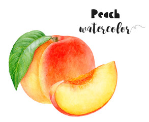 Watercolor illustration of peach fruit with branch close up. Design template for packaging, menu, postcards. PNG