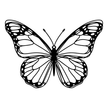 Butterfly contours doodle silhouettes element vector illustration on white background one continuous black line hand drawing of monarch butterfly flying