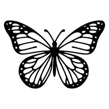 Butterfly contours doodle silhouettes element vector illustration on white background one continuous black line hand drawing of monarch butterfly flying