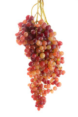 Bunch of organic pink grapes isolated on white background.