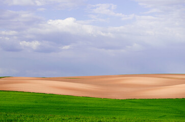 Beautiful landscape of agrofield on background of blue sky. Smooth stripes on field in mountains. Field of green wheat. Agriculture.