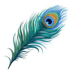 Peacock Feather Clipart clipart isolated on white background