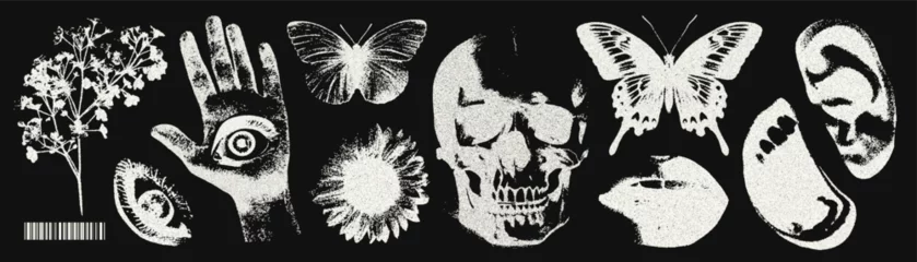 Peel and stick wallpaper Butterflies in Grunge Trendy elements with a retro negative photocopy effect. y2k elements for design. Skull, flowers, butterflies, hand, mouth, eye, lips, ear. 