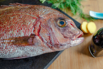 Top view of a wild bream fish. 