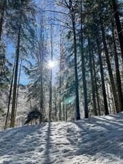 Winter Wonderland - Bavarian Alps in Berchtesgaden