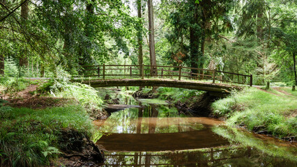 Rustic bridge across a river in New Forest