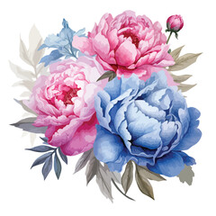 Pink and Blue Peonies Clipart clipart isolated on white