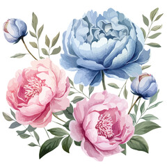 Pink and Blue Peonies Clipart clipart isolated on white