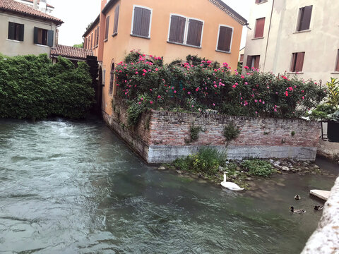canal and houses