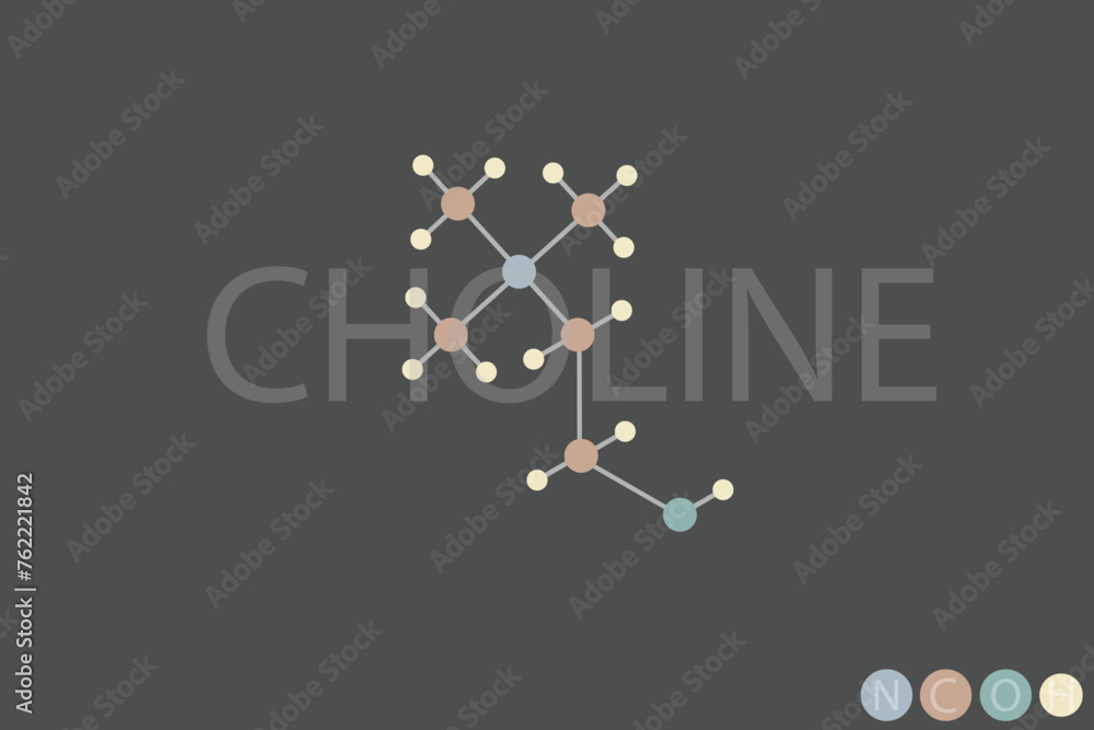 Wall mural  choline molecular skeletal chemical formula	