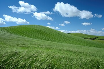 Fototapeta premium beautiful landscape scenery nature professional photography