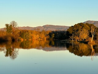 Reflection of the sunset lit winter trees in water of river Minho near Tabagón, O Rosal, Galicia, Spain, January 2023