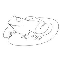 Vector frog line art drawing illustration