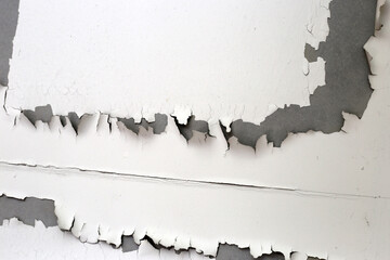 White color paint peeling off on ceiling house. Under the roof