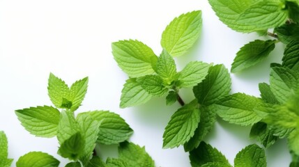 Mint Leaves Decoration on a White Background. Negative space. Generative AI