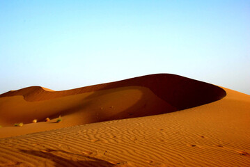 Jaisalmer Desert