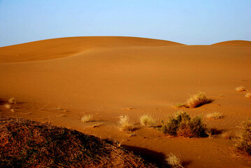 Jaisalmer Desert