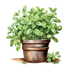 Potted Green Herbs Clipart