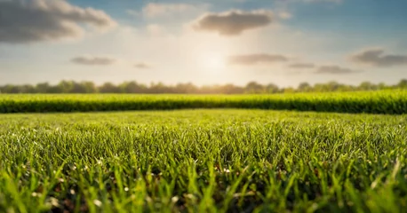 Foto auf Alu-Dibond Freshly mowed lawn, offering clean and manicured look for outdoor recreation and relaxation. © Issah