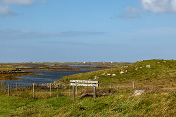 Sheep grazing on the Hebridean Island of North Uist, on a sunny September day