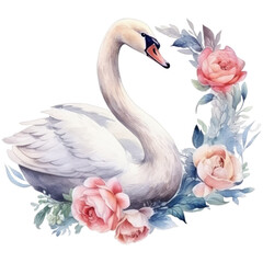 Watercolor beautiful swan with flowers, isolated on transparent background