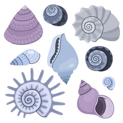 Set of various seashells. Blue and gray seashells. Cartoon vector illustration.