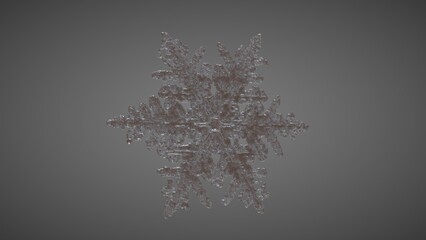 SnowFlake Perspective 4
( 3D Model , 3D Rendering , 3D Illustration )