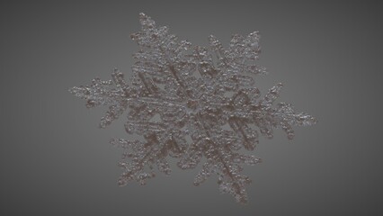 SnowFlake Perspective 1
( 3D Model , 3D Rendering , 3D Illustration )