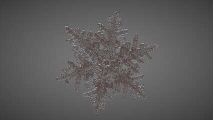 SnowFlake Perspective 3
( 3D Model , 3D Rendering , 3D Illustration )