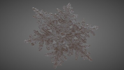 SnowFlake Perspective 2
( 3D Model , 3D Rendering , 3D Illustration )