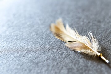 Feather on gray table, abstract background of prose poetry or creativity. Copy space. Generative AI