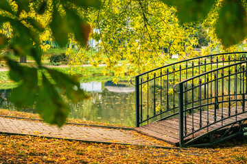 Metal bridge over pond, yellow leaves on the ground. Autumn, leaf fall concept