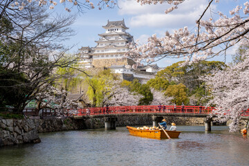 姫路城と桜 © 正宏 山田