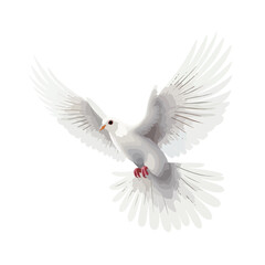 White Dove Clipart isolated on white background