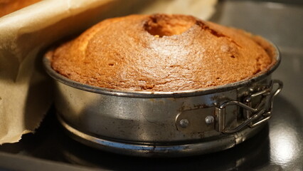 Kuchen in Springform