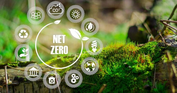 Net zero emission , carbon neutral concept. Net zero greenhouse gas emissions target. Climate neutral long term strategy with green net zero icon  on green nature background.4k footage 