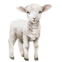 Watercolor Baby Farm Sheep Clipart 
