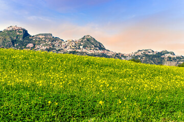spring green valley with yellow flower field on foreground and beautiful mountains with blue...