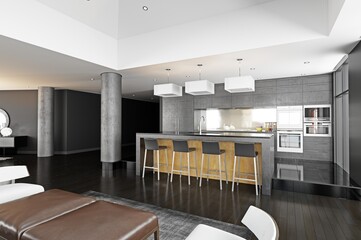 black and white modern kitchen in a new luxury house - 762268469