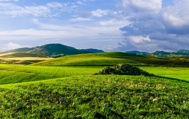 Scenic view at beautiful spring sunset in a green shiny field with green grass and golden sun rays, deep blue cloudy sky on a background , forest and country road, summer valley landscape