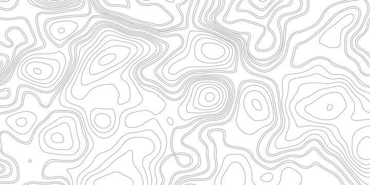 Background of the topographic map. Topographic map lines, contour background.  Geographic topography of mountains in vector illustration. The texture of the topographic image. 
