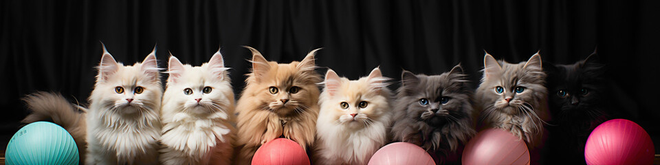 A row of fluffy kittens playing with colorful yarn balls against a backdrop of pastel-colored banners, perfect for a pet-friendly celebration. - obrazy, fototapety, plakaty