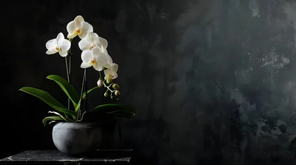 Foto auf Acrylglas A flowerpot containing a blooming orchid is placed on a black stone table against a dark background. space available for text.  © PSCL RDL