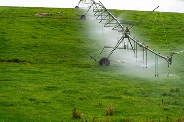 pivot irrigation in an agriculture field growing green food and grass on a farm in australia