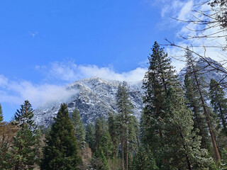 Yosemite the Mountain in Winter's Enchanted Embrace: An Exquisite and Majestic Panorama of the National Park of the United States, Adorned with Snow-Clad Trees and Granite Cliffs Reach for the Heavens