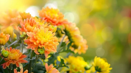 Tuinposter bouquet of beautiful chrysanthemum flowers outdoors © PSCL RDL