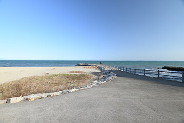 Naklejka premium 海へと続く道