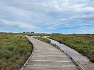 Wooden path around Marseillan