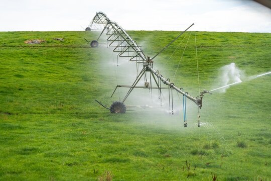pivot irrigation in an agriculture field growing green food and grass on a farm in australia